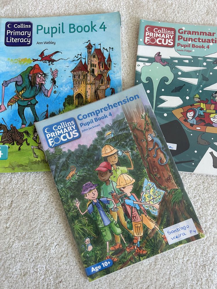 Collins primary focus / literacy f4