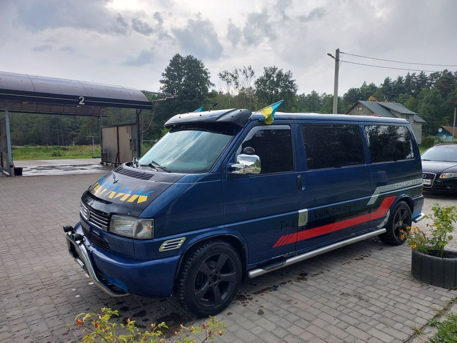 Продам доглянутого течика