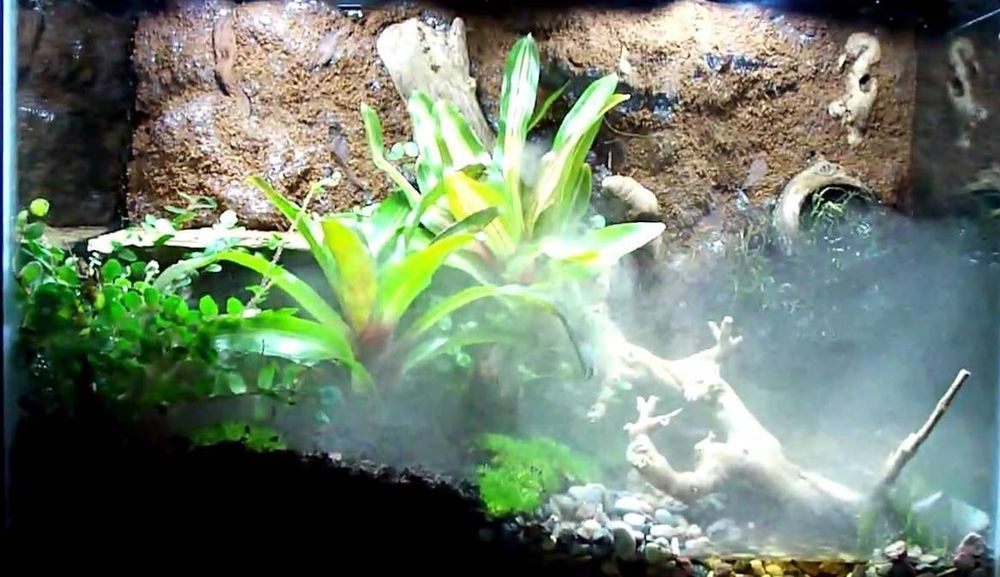 Repti-Zoo Terrafog - Generator Mgły Z Podświetleniem