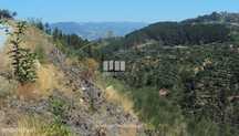 Venda Terreno, Oliveira do Douro, Cinfães
