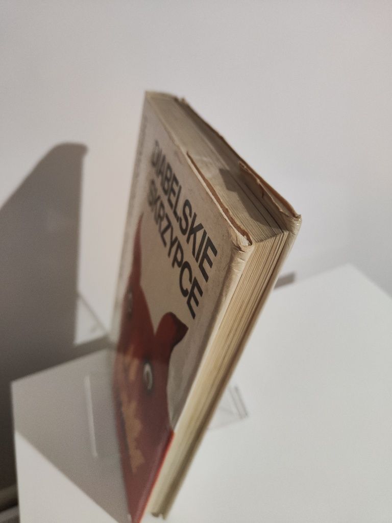 Diabelskie skrzypce - Michał Federowski