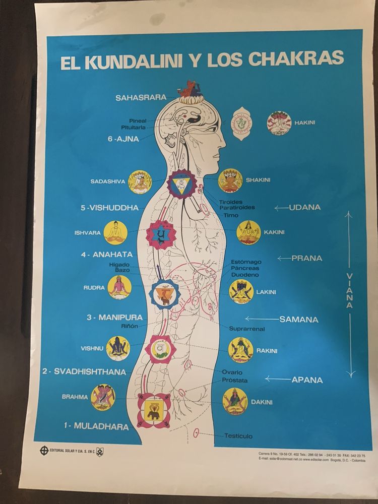 5 x Poster cartazes acunpressão massagem iridiologia reflexologia kundalini chackras etc