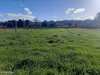 Terreno com 2.600m2