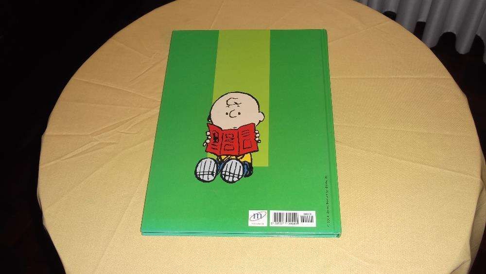 livro o Dicionário do Charlie Brown