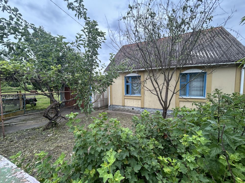 Продаж будинку село Карпилівка