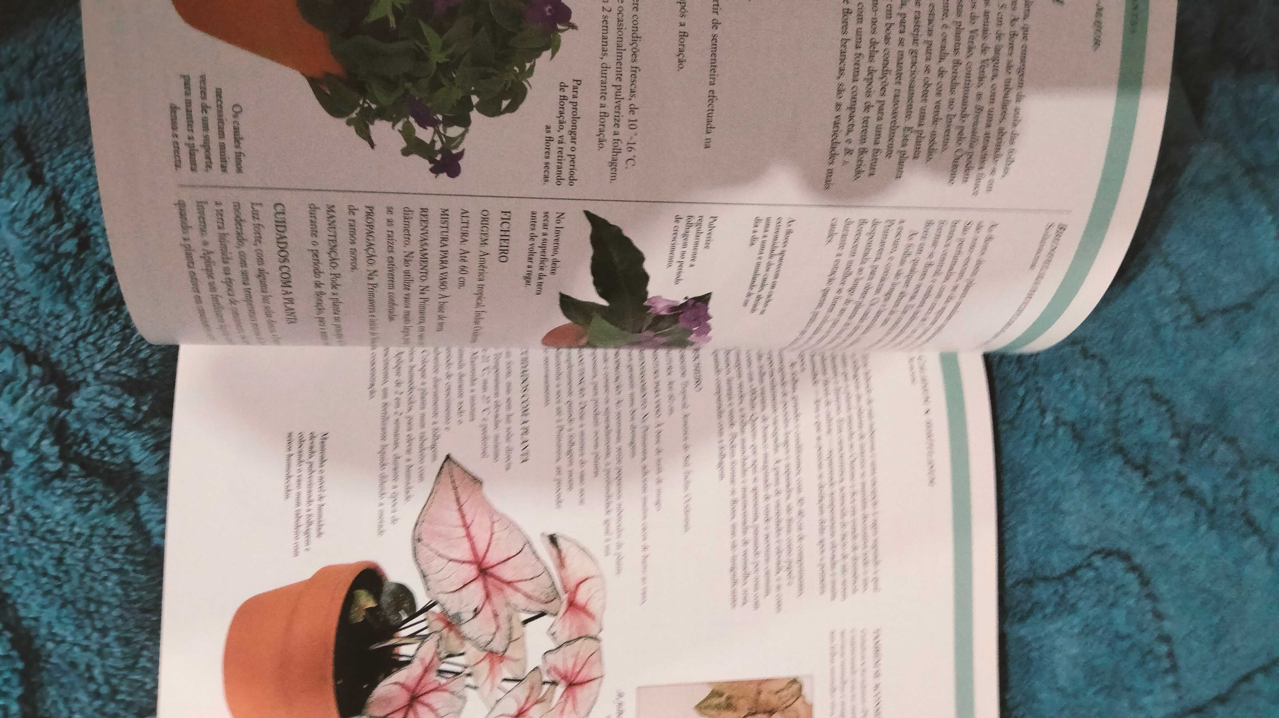 Grande livro guia das plantas