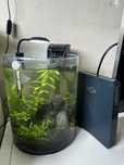 Aquario completo