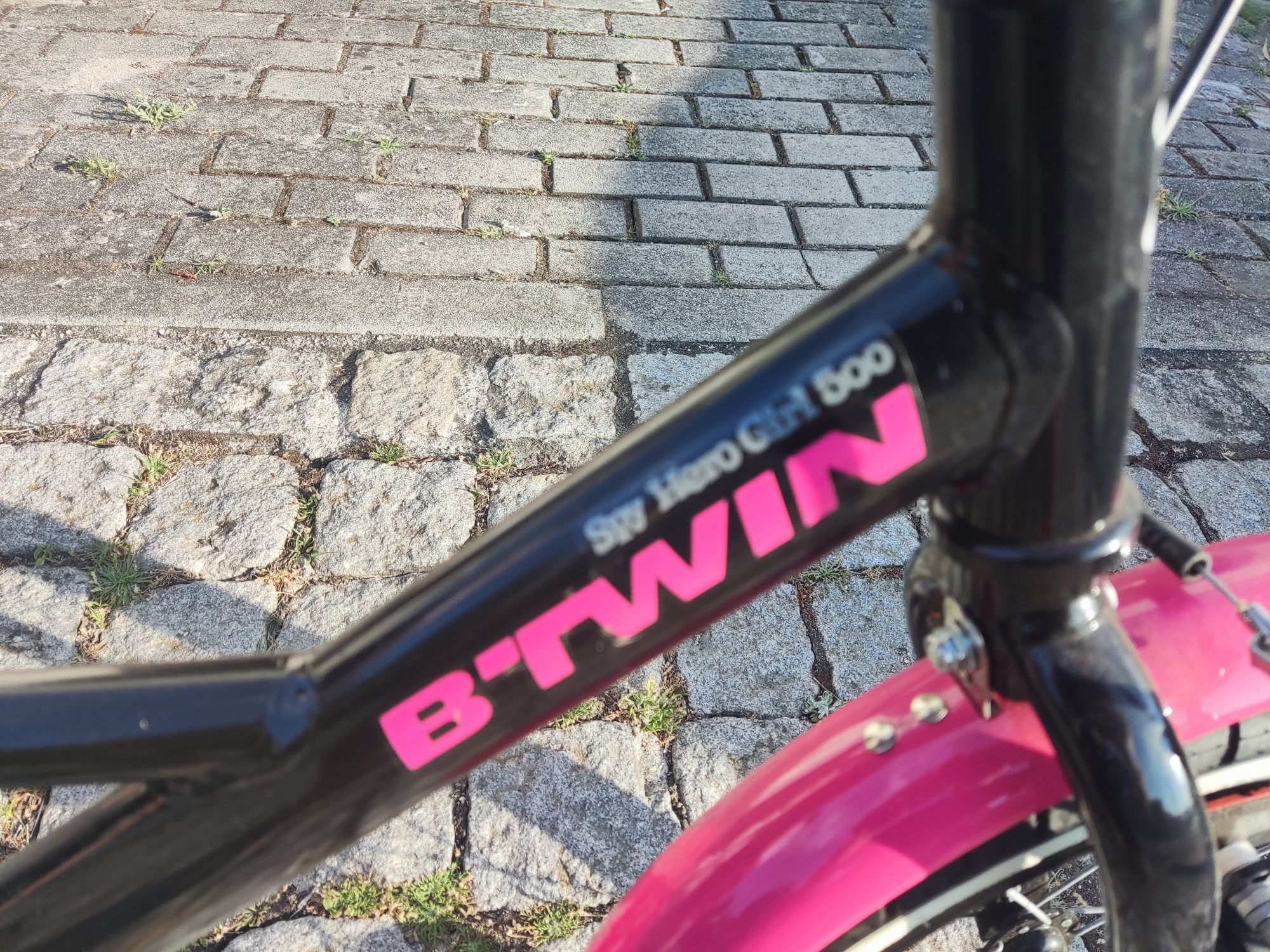 Bicicleta menina