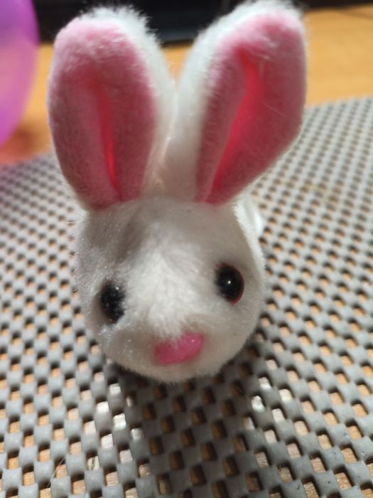 Зайка бігаючий у м'ячику