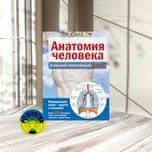 Анатомия человека. Большой популярный атлас