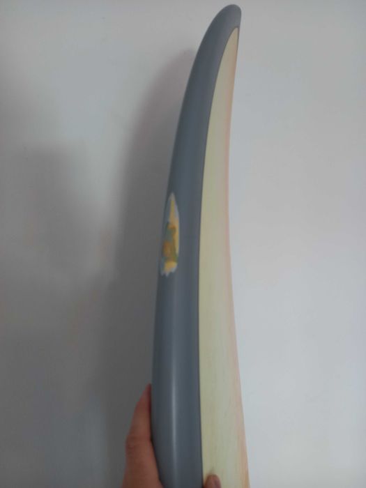 Fish 6.3 Torq usado mas ainda bom