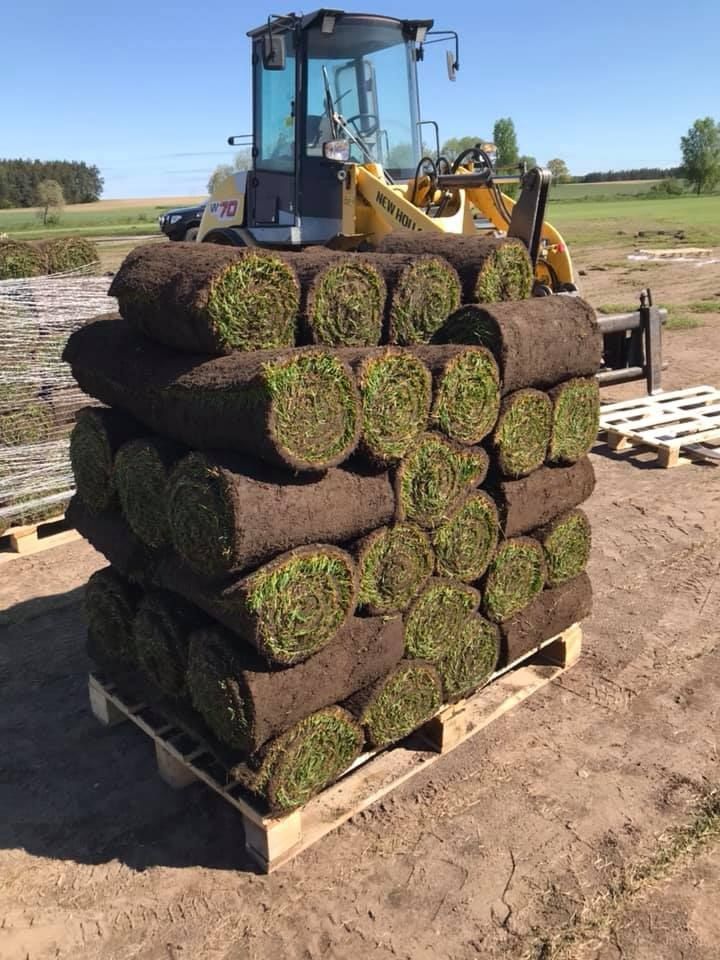 Trawa w rolce *Premium - PLANTACJA