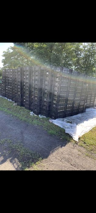 Skrzynki holenderskie plastikowe