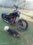 Motocykl Suzuki savage LS 650 bobber