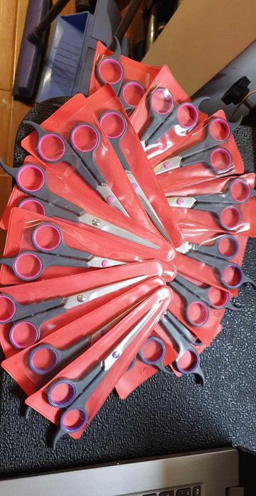 Nożyczki K.R. Witte seria Young Line 5,5 cala z plastikową rączką