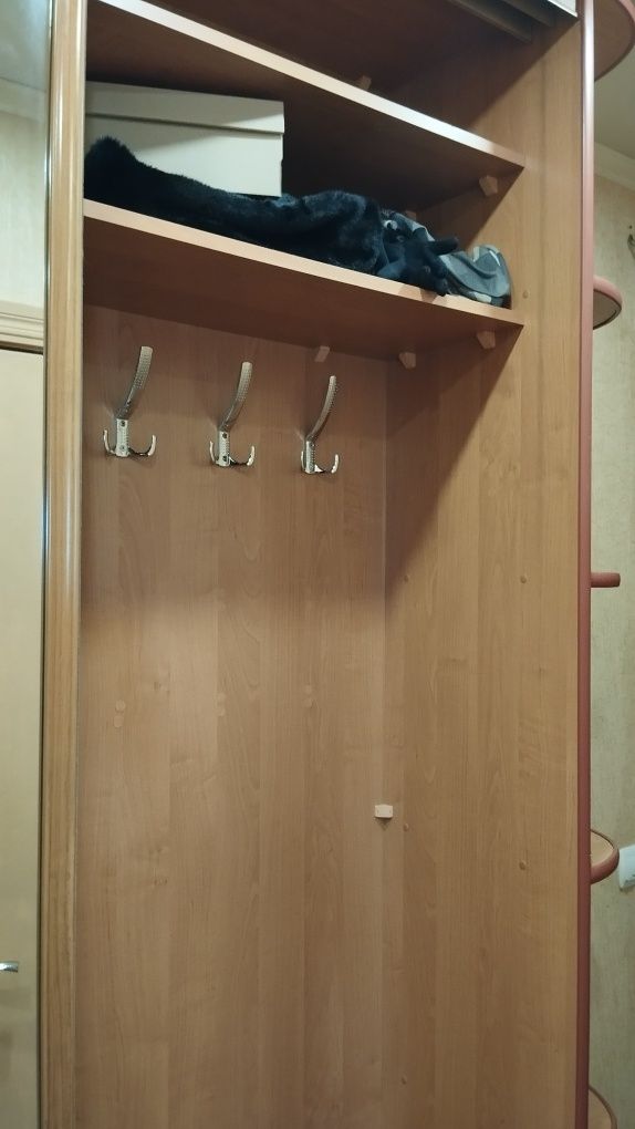 Шафа-купе у відмінному стані