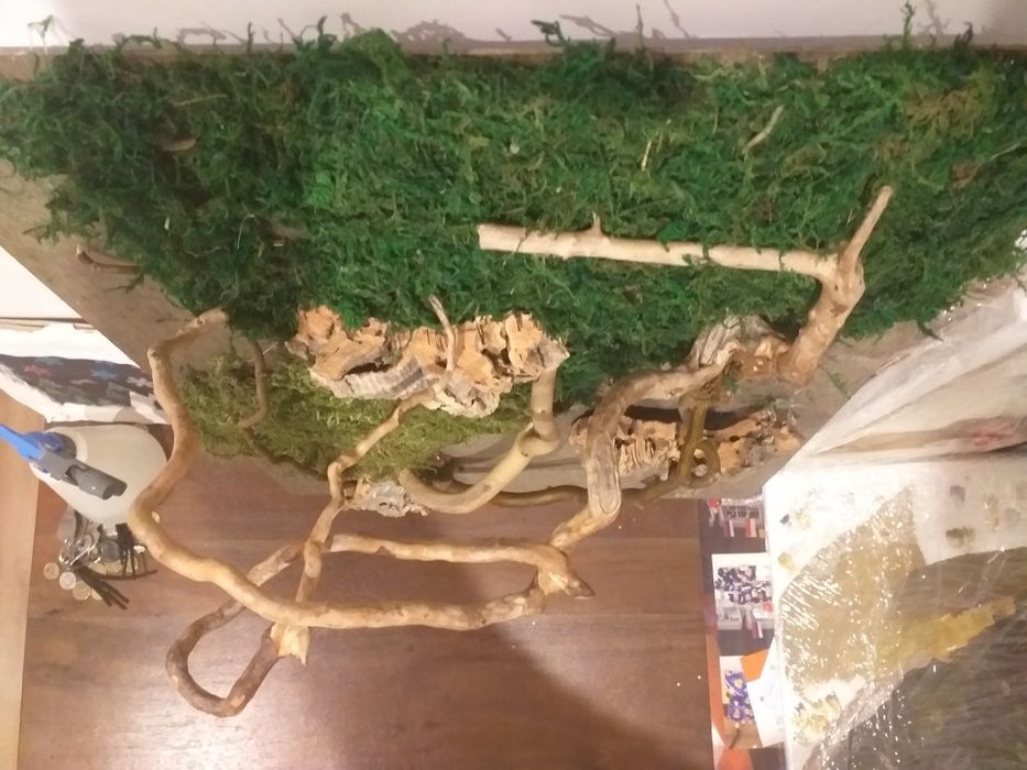 Tło do terrarium planedarium dla felsum gekonow żab żabek