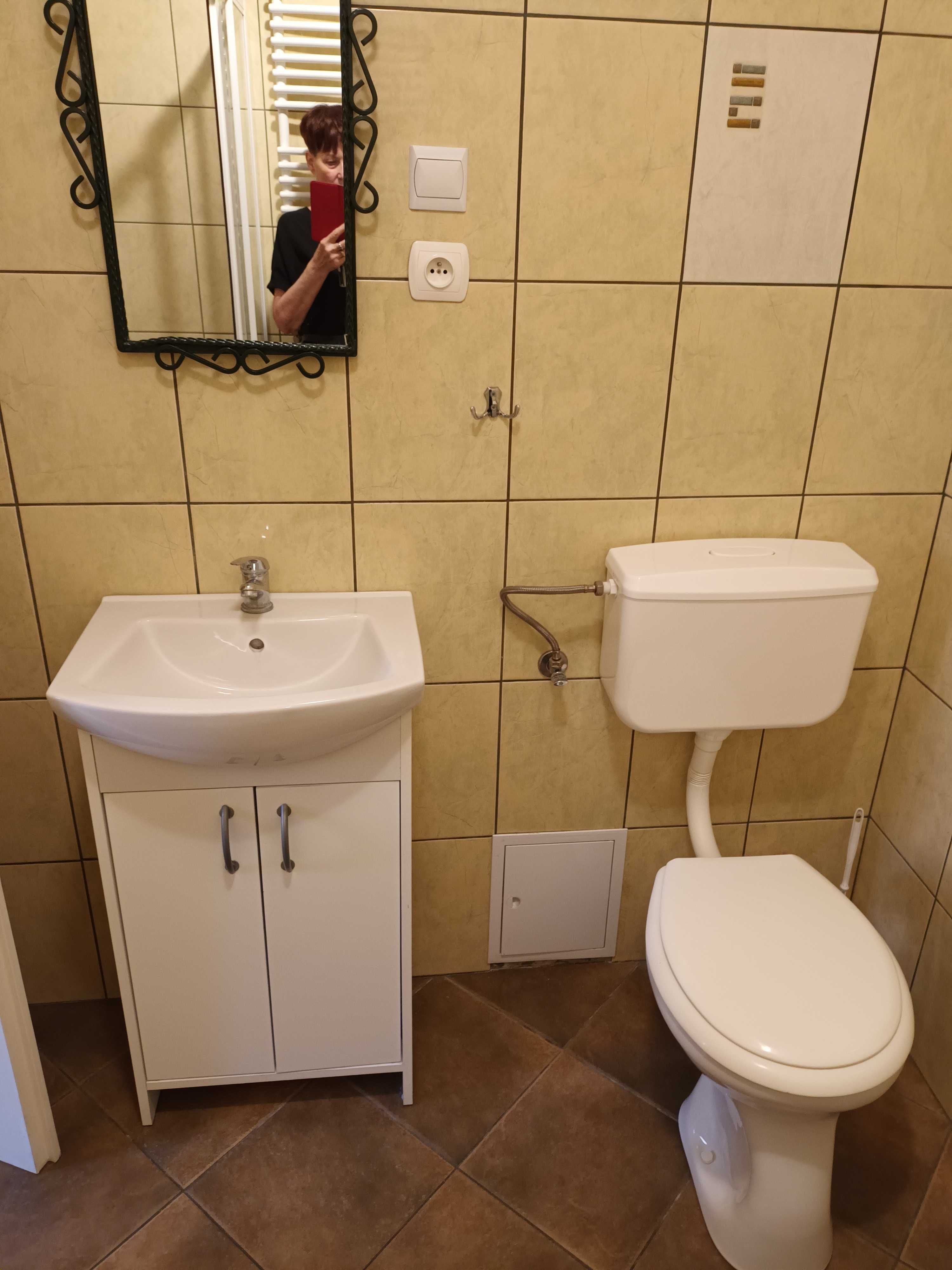 Mieszkanie do wynajęcia