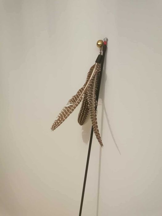 Teleskopowa wędka dla kota z piórkami