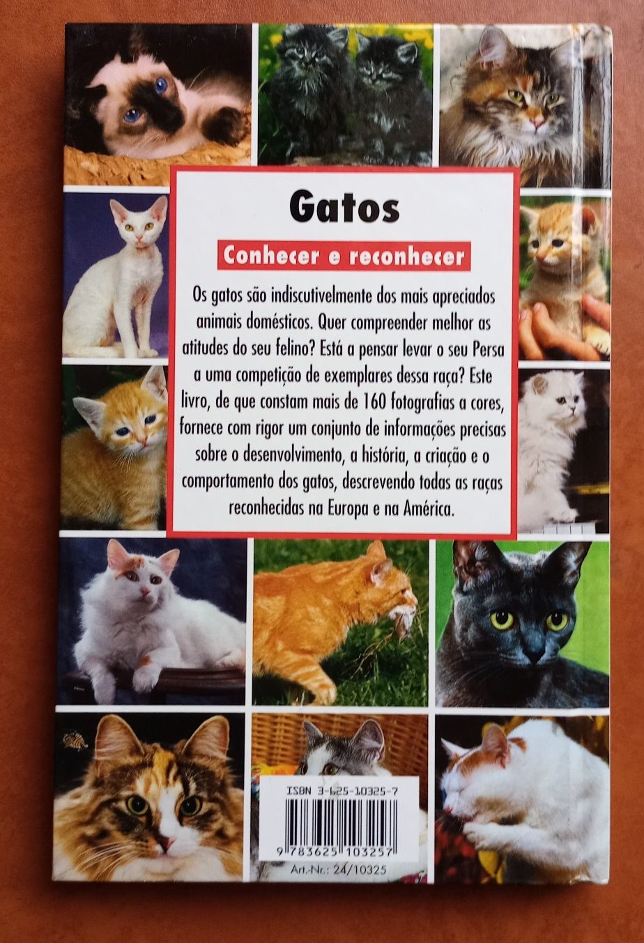 Gatos- conhecer e reconhecer