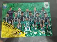 Karta kolekcjonerska LIMITED EDITION Panathinaikos FC fifa 365