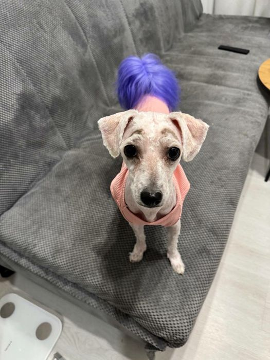 Yamaha Pacifica 012 Black + мінікомбік VOX + кабель