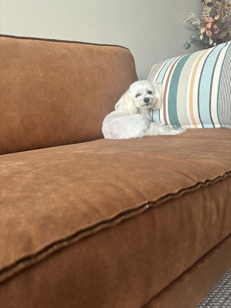 Sofa Neo Tobacco Kare Design