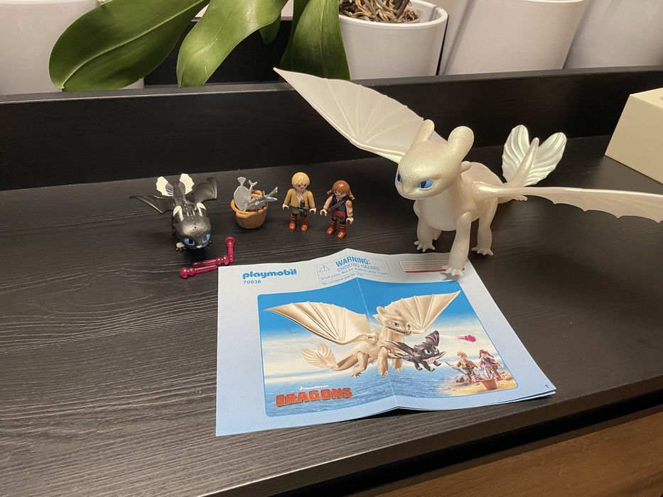 Playmobil 70038 Dragons - Jak wytresować smoka