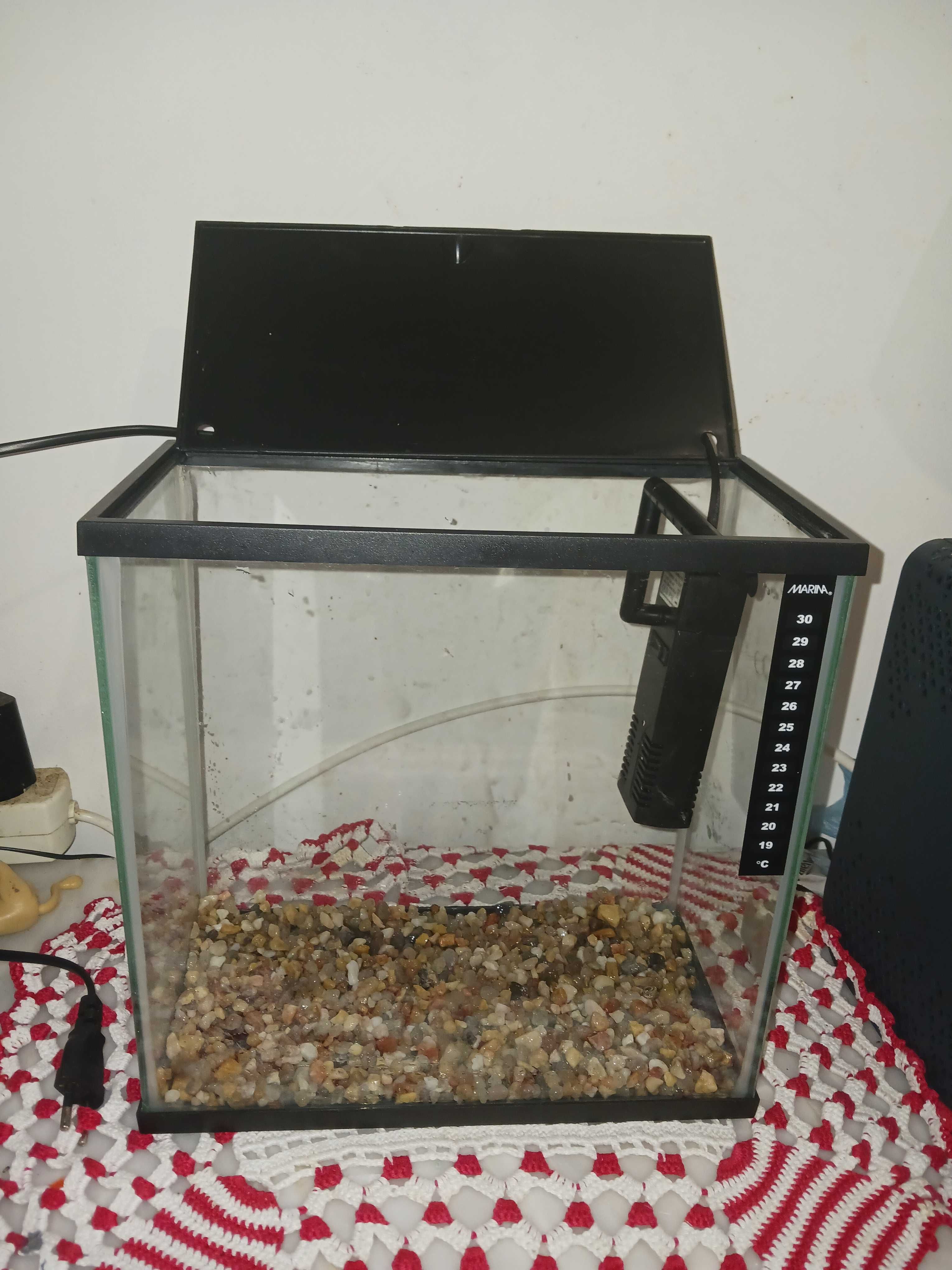 Aquário de peixes