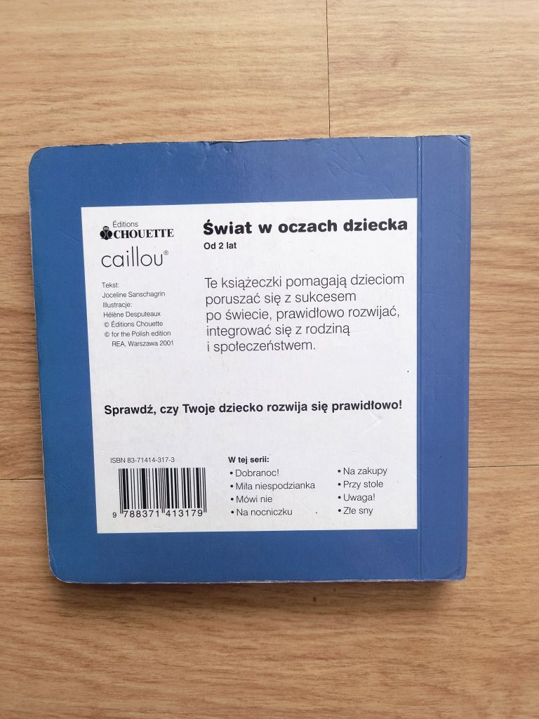 Kamyczek miła niespodzianka Świat w oczach dziecka