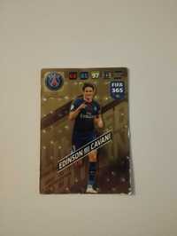 Edinson Cavani Paris Saint-German