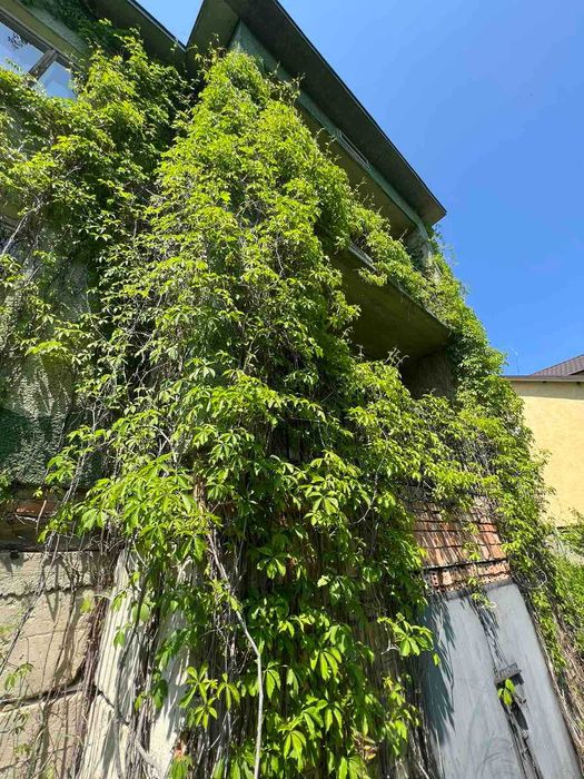 Продам будинок Трускавець