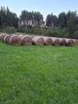 Sprzedam siano suche
