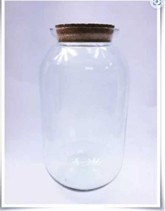 Las w szkle, duży szklany słój 42cm