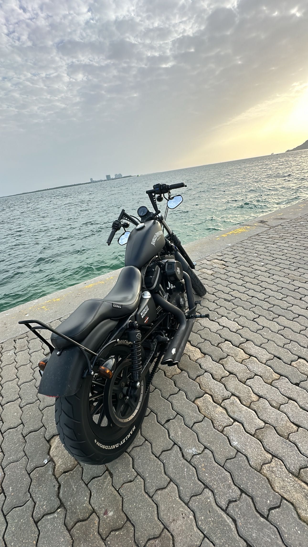 Harley Davidson 883 Sportster