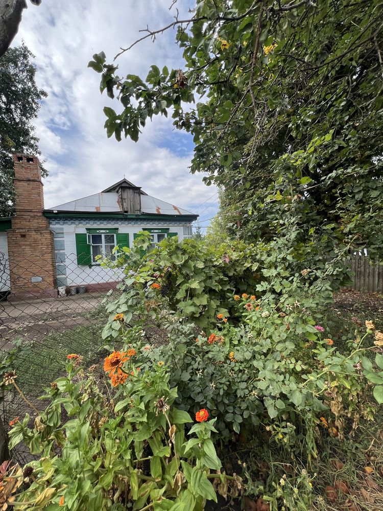 Два будинки, гараж,хоз приміщення