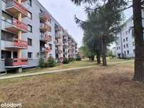 Mieszkanie 65m2 Szydłowiec