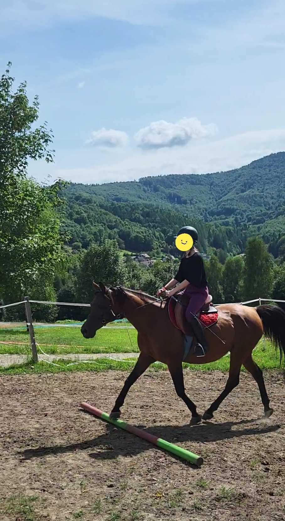 Sprzedam/zamienię klacz arabską