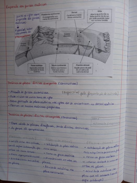 Resumos Biologia e Geologia para exame