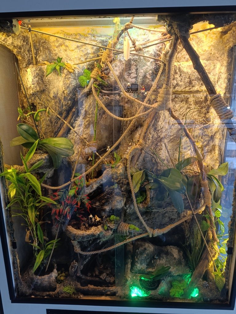 Ekskluzywne terrarium 133x53x217 cm