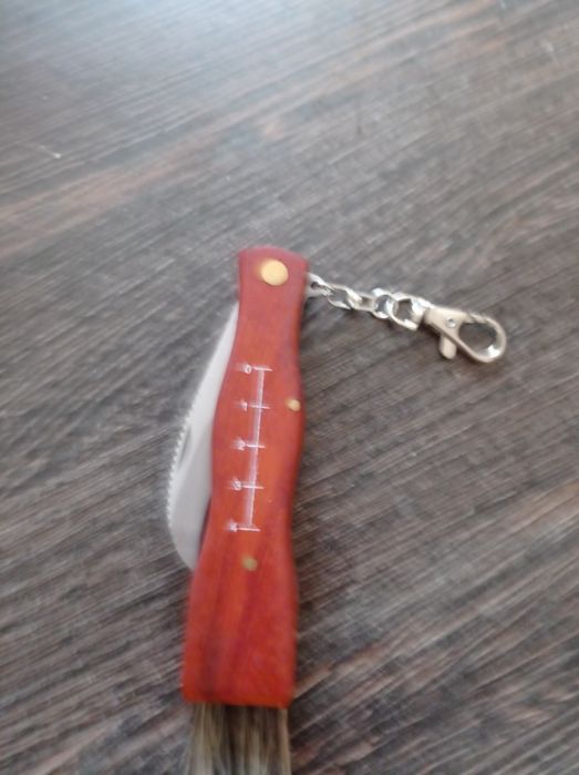 Nóż do grzybów składany