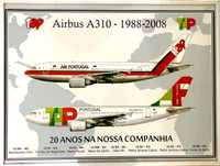 Serigrafia A310 TAP Air Portugal, 20 anos