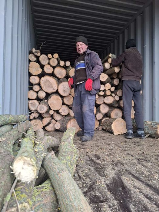 Дрова дуб опт метровый