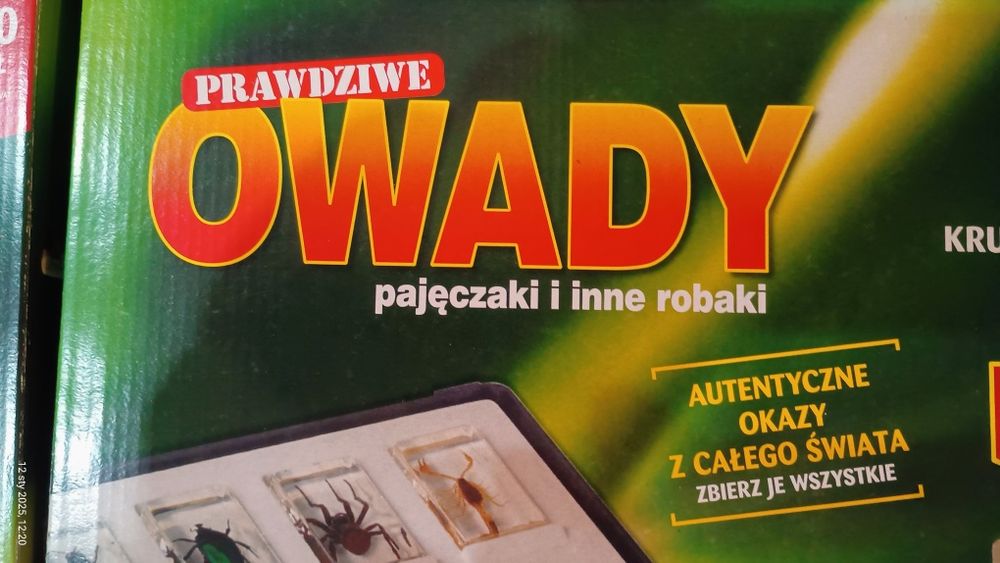 Kolekcja prawdziwych owadów i pajęczaków