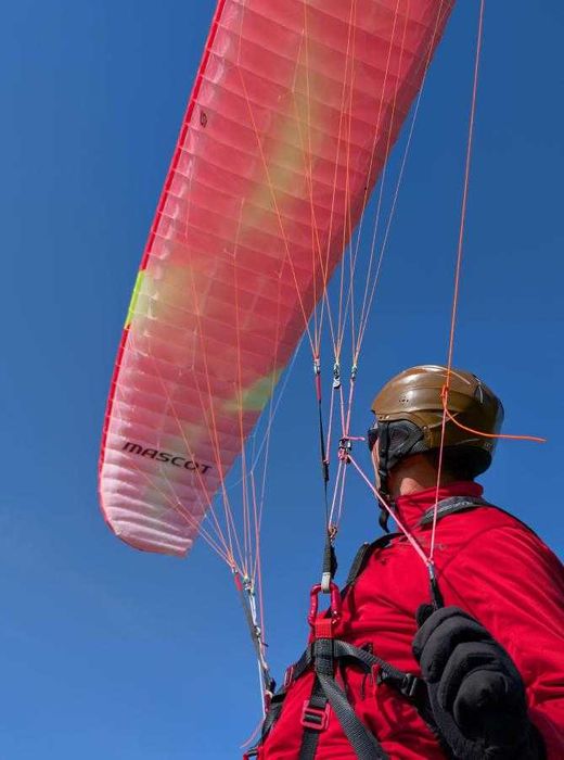 SKY COUNTRY Mascot - parakite wing