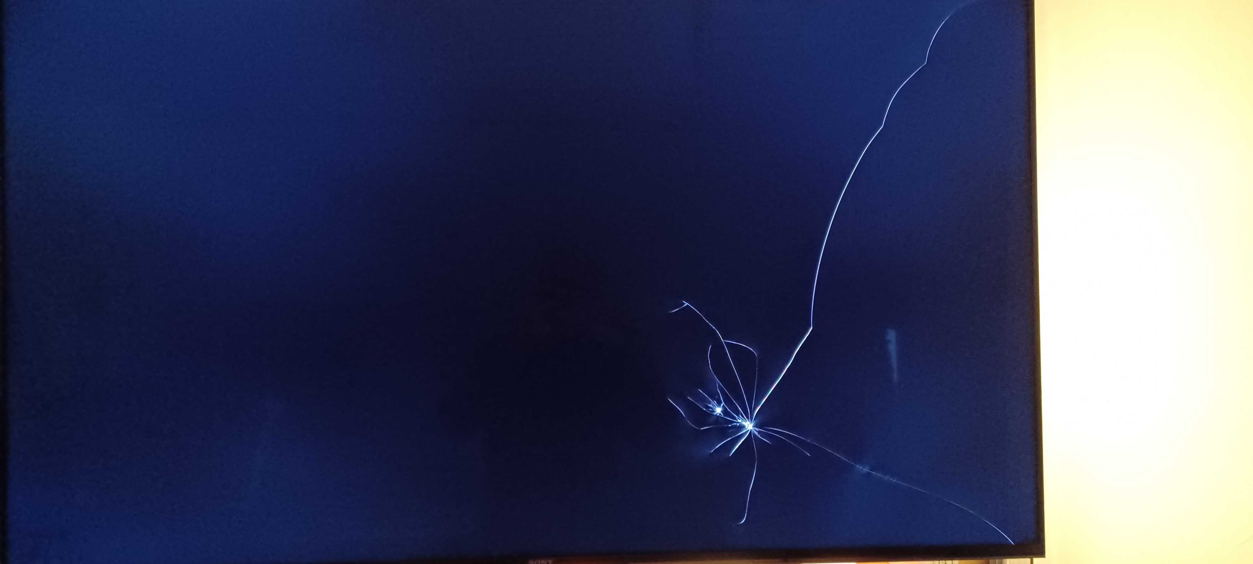 Telewizor Sony KD-55XG9505 uszkodzona matryca