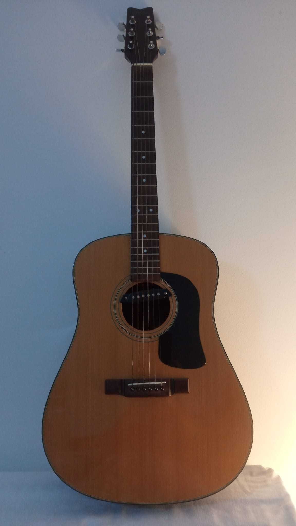 Guitarra Folk Washburn d-12n