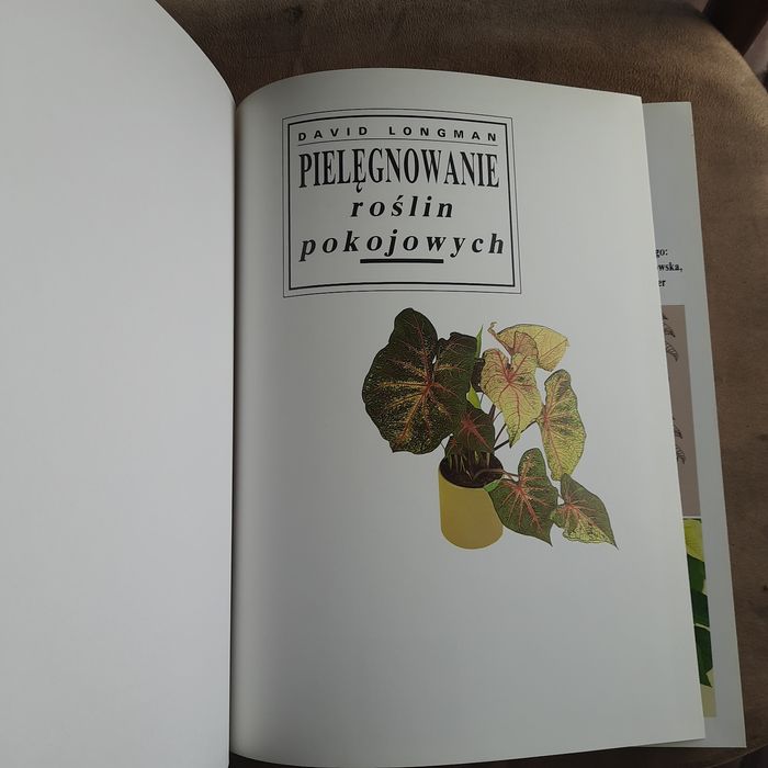 Pielęgnowanie  roślin pokojowych