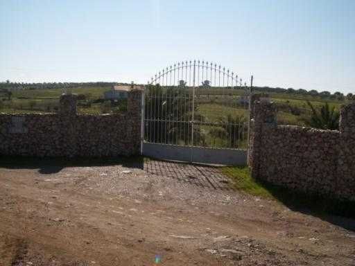 Quinta no Alentejo