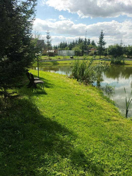 Noclegi dla firm,, Noclegi, Wąbrzeźno ,Radzyń chełmiński,Kowalewo